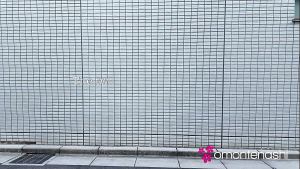 My Ex Girlfriend Loves To Lick Armpits And Anal Holes…Trailer1