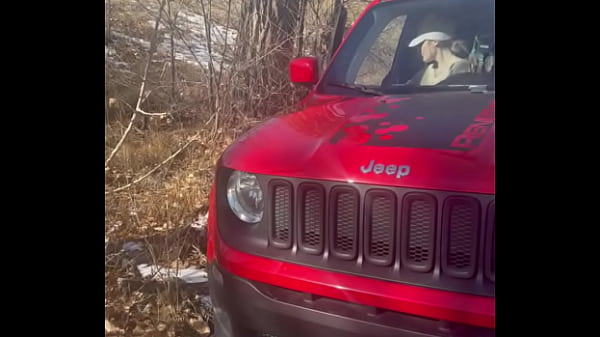 Walking net to the highway fully naked all the cars driving by definitely saw us