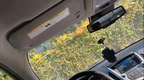 Aisha blows me in car at the park