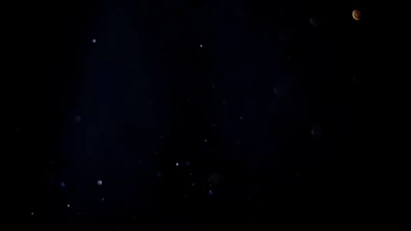 Dany Milf numa suruba quente com homens pauzudos