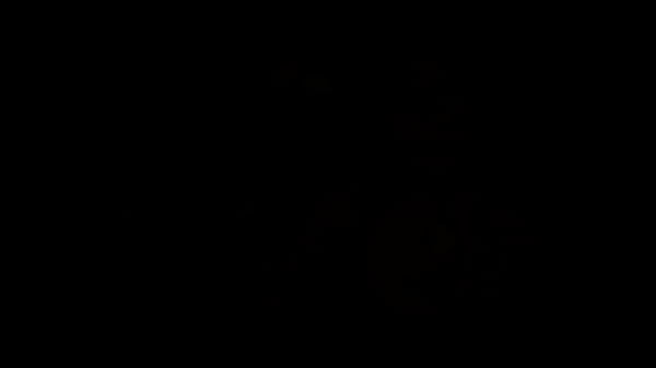 Freddy gets shucked at the shuckeria sex  18