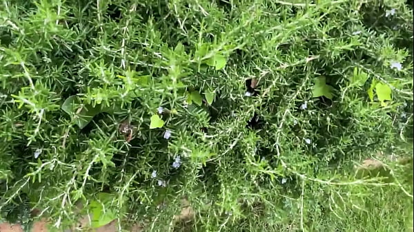 パート1【Jカップ超爆乳肉弾SEX】おっぱい好き必見の爆乳娘参上!