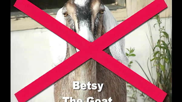 Sativa Rose Loves A Fresh Load