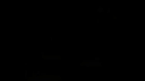 Sou apaixonada por sexo