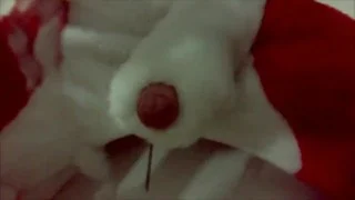 Furry fox plays and cum