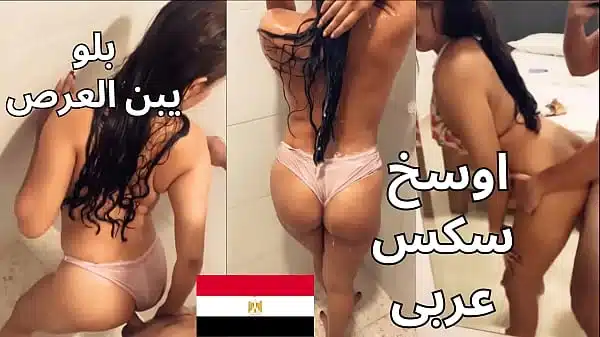 The best Egyptian Sharmota اجمد سكس مصرى ممكن تشوفه شغال نيك فيها فى الاوضه و دخل وراها الحمام تقوله احوو براحه بلو يا عرص