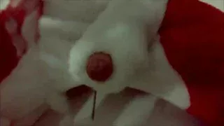 Furry fox plays and cum