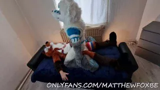 Matthew Fox invited Snauwflake to test his new couch – Part 2 ( Furry / Fursuit / Murrsuit)