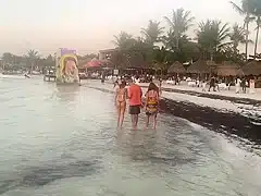 Bikini Watch at Isla Holbox