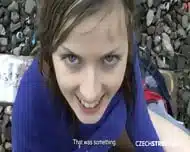 Fidelity testing – Veronika