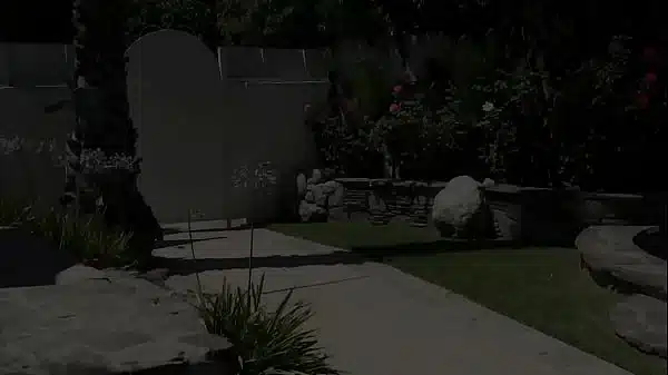 Hot blonde with big boobs, Krissy Lynn, gives a blowjob to a big black cock that pops…