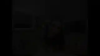 Laura Sinn Is Open To Cheat On Her BF In A Wild Sexual Affair With You