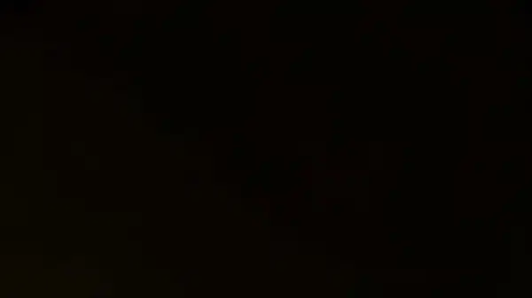 Namų apsaugos pareigūnas 01 lietuviškai sub