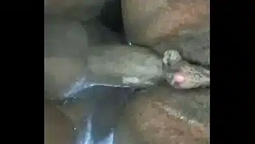 Negro amante transando com a casada da buceta de grelo grande ficando arrombada pro marido.