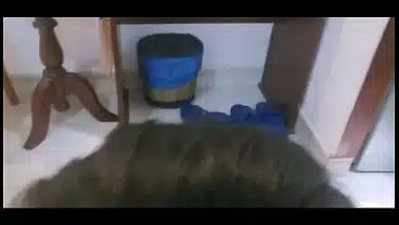 Nguyễn Trần Diễm My ( I M G ) chủ tiệm BM Boutique Đồng Nai 38