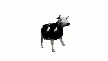 Polish cow music