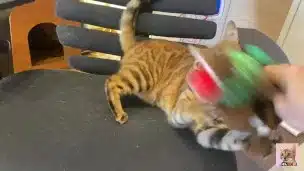 Pussy sucks deliciously on your stuff … . She likes to be bitten hard … .