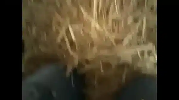 Sandra Zemanova arabic dressup