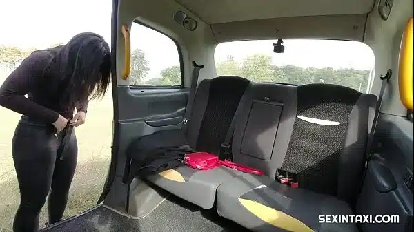 sex in taxi