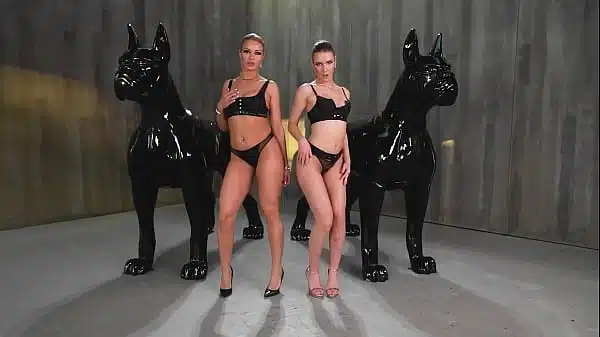 Two gorgeous have group sex therapy