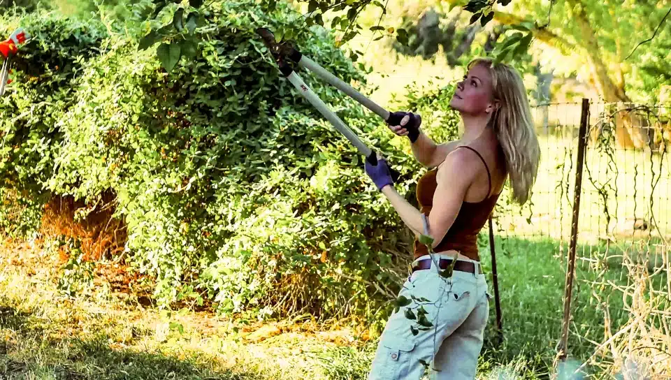 Planting Seeds on My Neighbor’s Wife