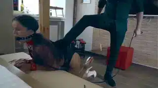 Submissive Girl Evelina Darling Anal Casting