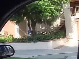 Sydney Capri – Sexy Black Girl Big Dick Sucking Ass Fucking