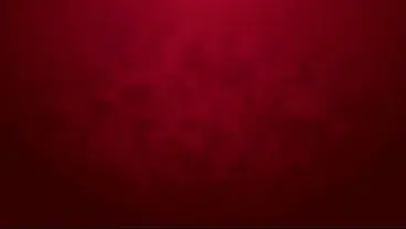 Newbie Rosa Josefin goes 1on1 rough only anal