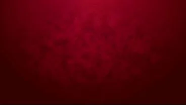 First DP for newbie Stefani Jameson