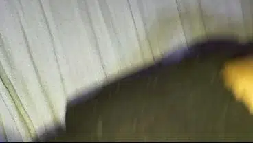 Fodendo o cuzinho muito gostoso