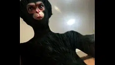 Vídeo de verificação