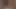 Auf xhamster bullwhipping