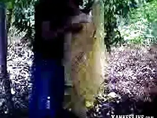 Bangladeshi Forest Fun