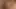 Compiled from XHamster’s Biggest