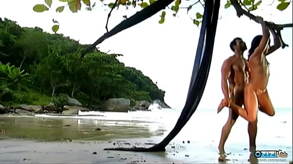 The attractive brunette loves having anal sex on the beach with her naughty partner