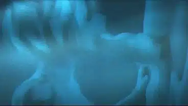 underwater-furry-blowjob