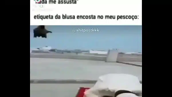 Vamos dominar o x vídeos!