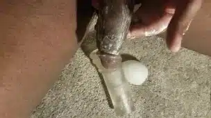 Big black Cock makes Cream out Of big Cumshot