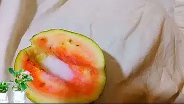 BREAKING NEWS: Mr. Dicks3x caught masturbating and Fucking water melon so hard.