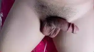 clip photo:10 .