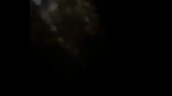 認証動画