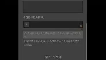 验证视频