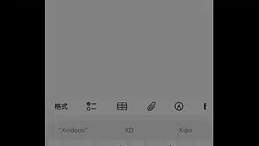 验证视频