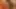Hottest German Shaved Pussy on Xhamster !