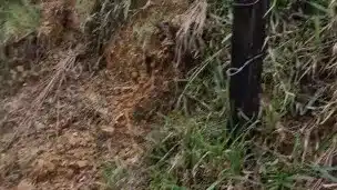 Meeting girl in the mountains sucked me and fucked me