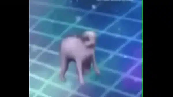 Pornohab35555ggg
