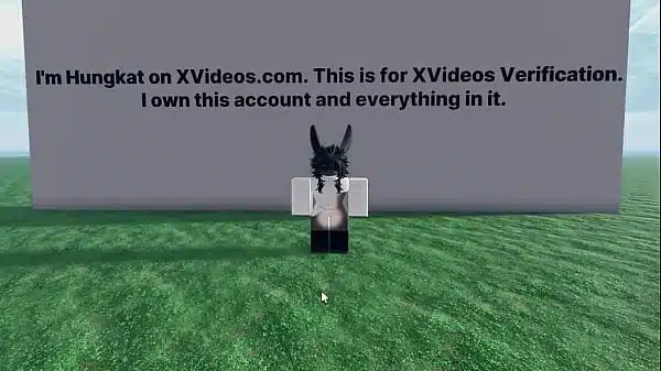 Silly video