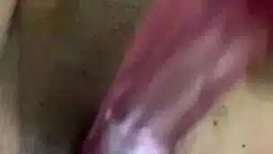 Toto bonito jugando