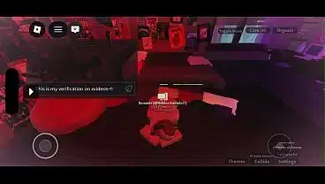 Verification video