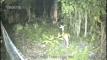 Verification video